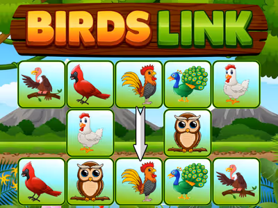 Birds Link