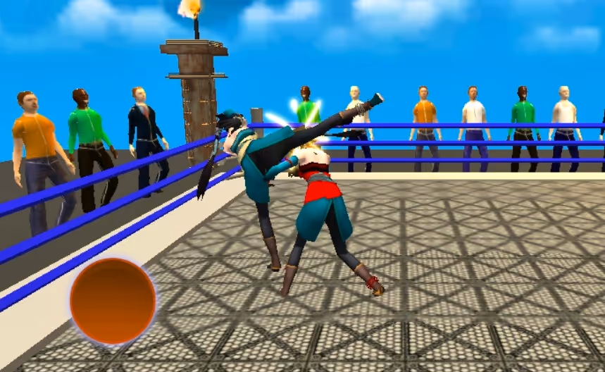 Women Wrestling Fight Revolution