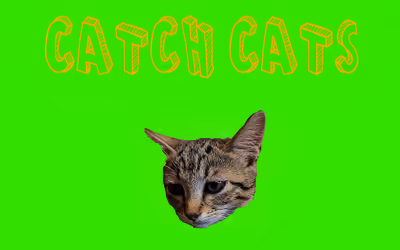 Catch Cats