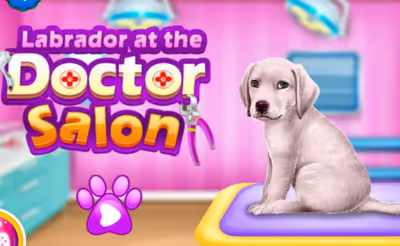 Labrador at the Doctor Salon