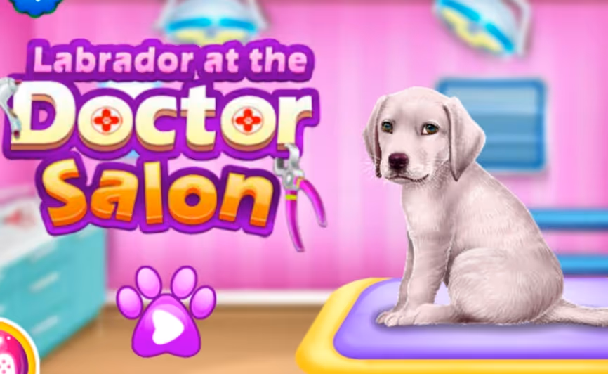 Labrador at the Doctor Salon