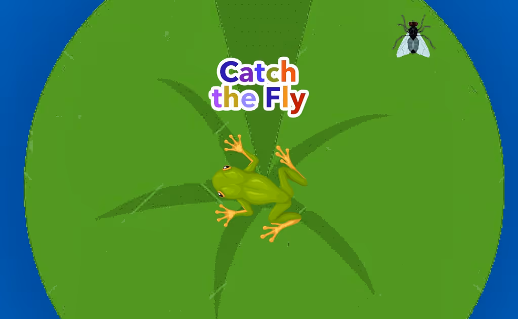 Catch the Fly
