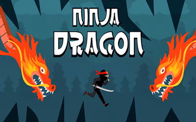 Ninja Dragon