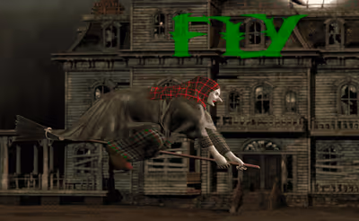 Flappy Witch
