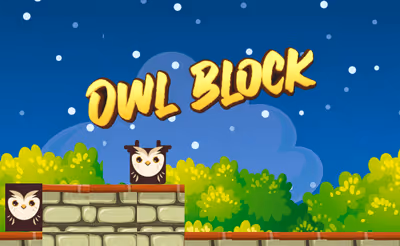 Owl Block