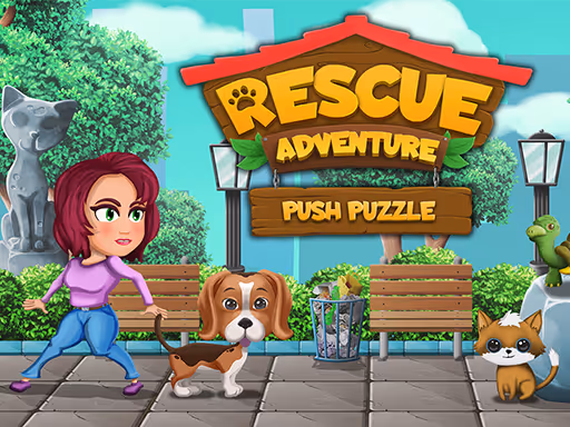 Push Puzzle Rescue Adventure
