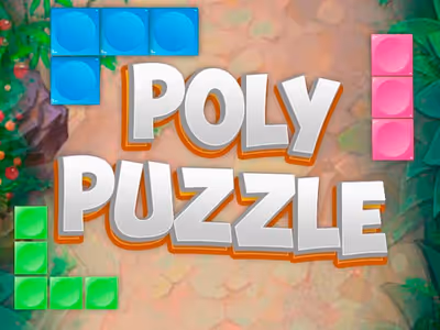 POLYPUZZLE