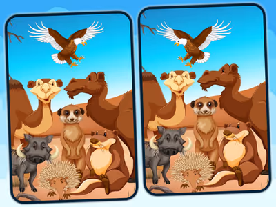Spot 5 Differences Deserts