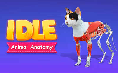 IDLE Animal Anatomy