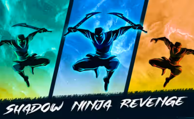 Shadow Ninja Revenge