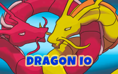 Dragon IO