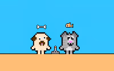 Dog and Cat
