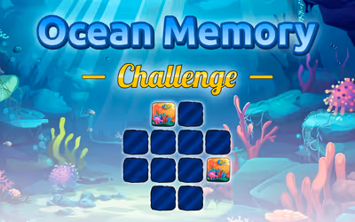 Ocean Memory Challenge