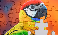 Jigsaw M
