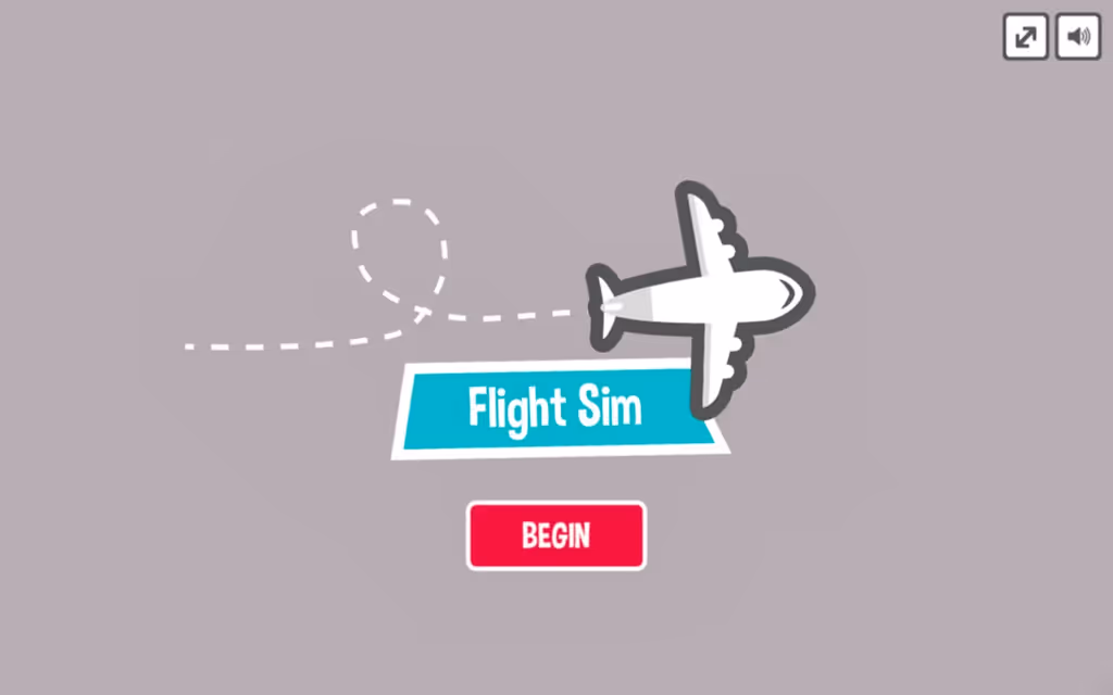 Flight Sim Pro