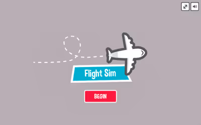Flight Sim Pro