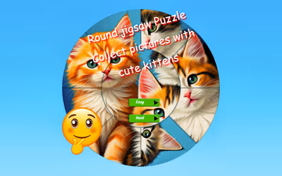 Round Jigsaw Puzzle Collect Pictures with Cute Kittens