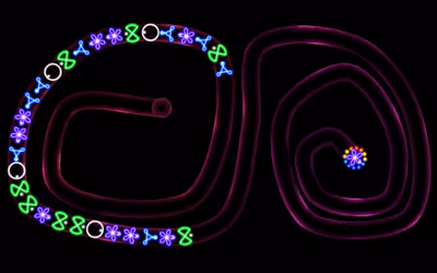 TD Neon Shoot - Zuma