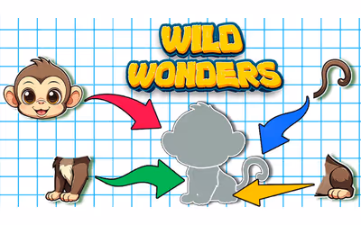 Wild Wonders