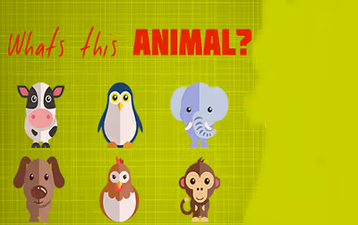 What's That Animal