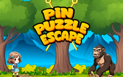 Pin Puzzle Escape
